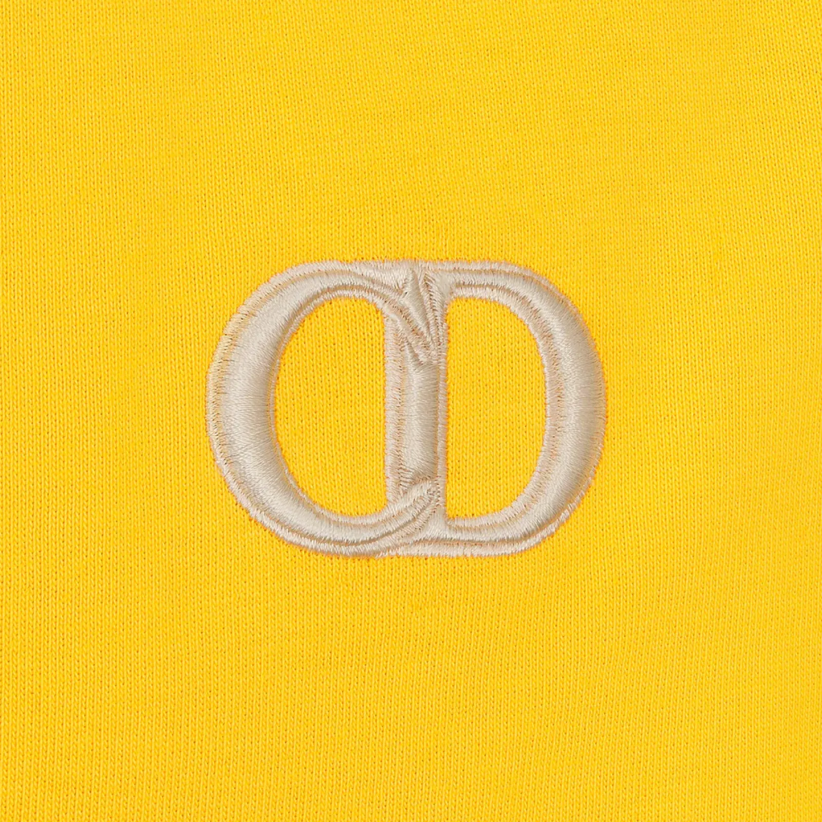Christian Dior Logo Hoodie