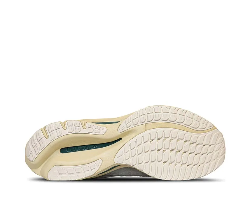 Mizuno Wave Rider Beta