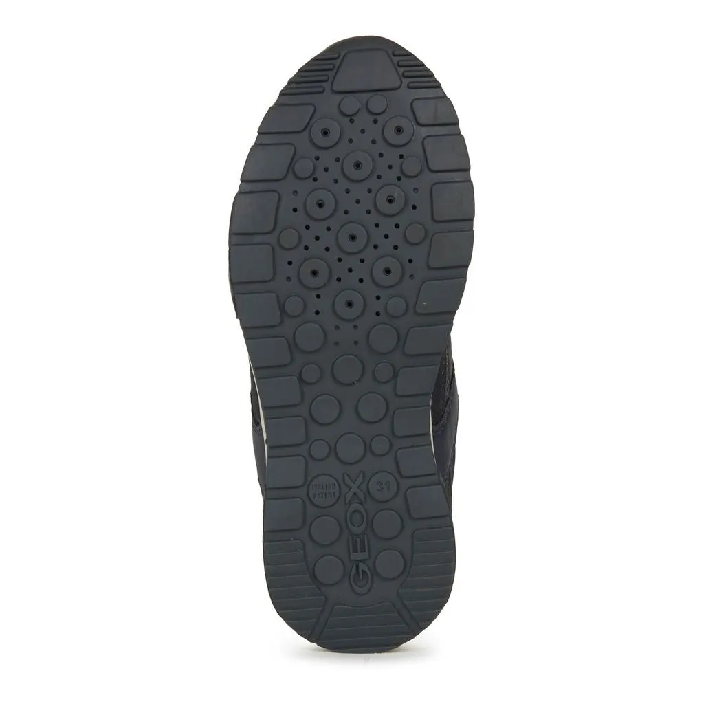 Navy Gray Alfier Low Cut Shoes