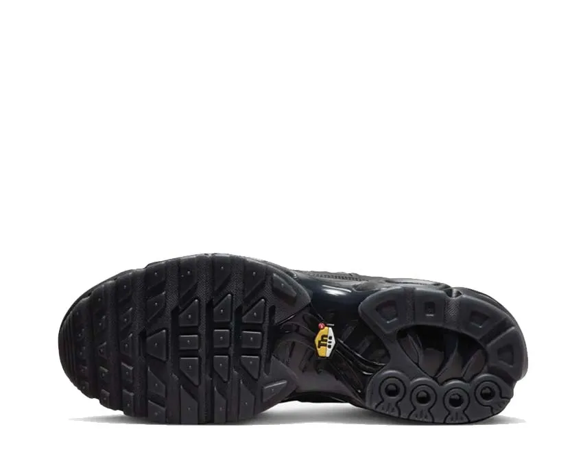 Nike Air Max Plus A Cold Wall